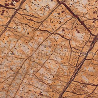 Tropical Rain Forest