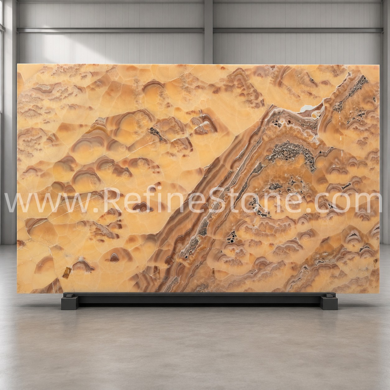 Onyx,C6209